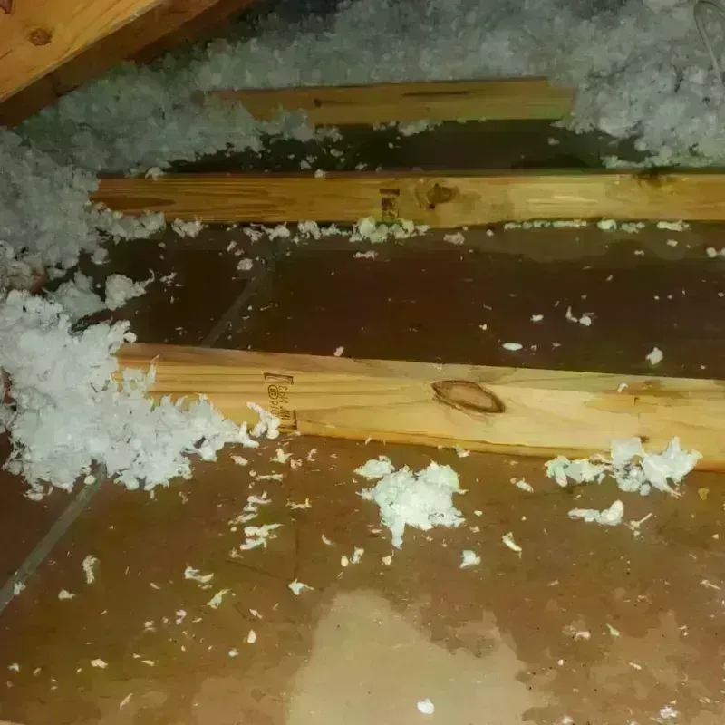 Attic Water Damage in Hood River, OR